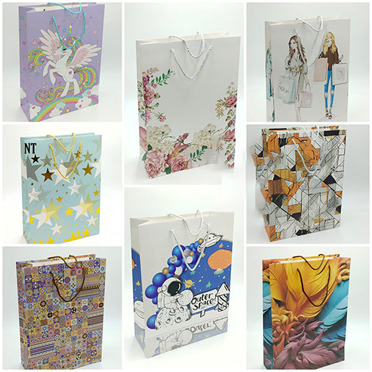 VR-w-l-2 Gift bag big 42_31_13 563542