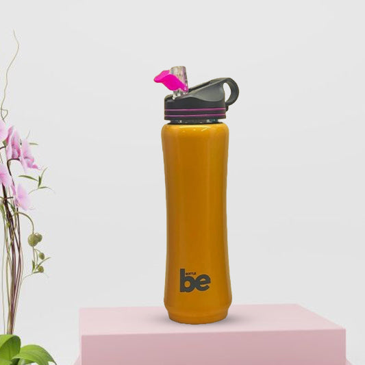 755 water bottle 750ml No 3920078 CTN