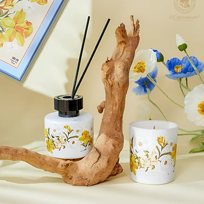 UR-J-IO-I Scented diffuser gift box 041-Aroma No 24110081 CTN