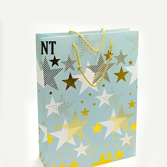 VR-w-l-2 Gift bag big 42_31_13 563542
